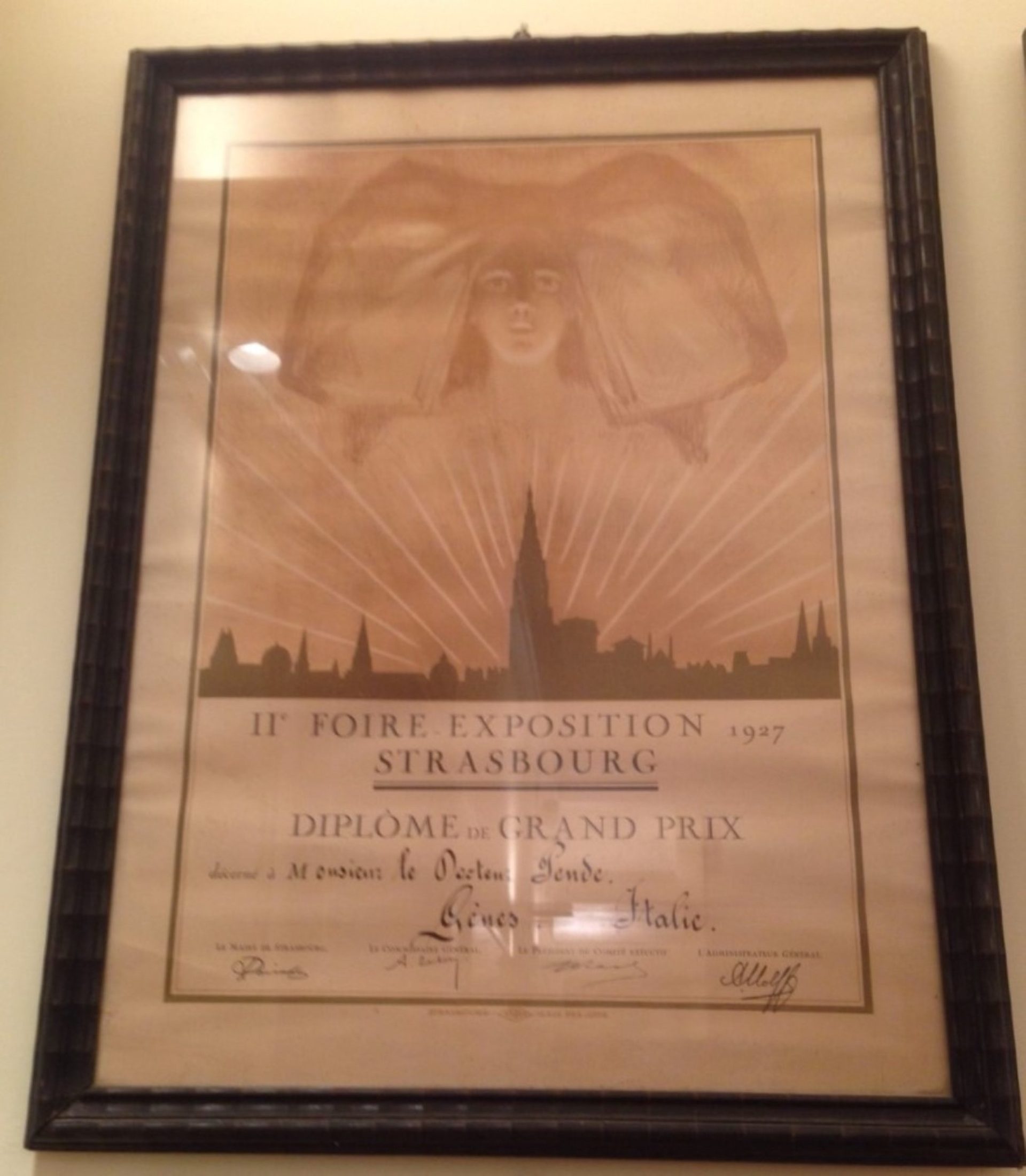 Nicola Pende's awards (4).jpg
